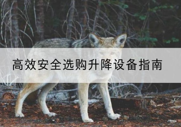 港北升降货梯厂家推荐-*安全选购升降设备指南