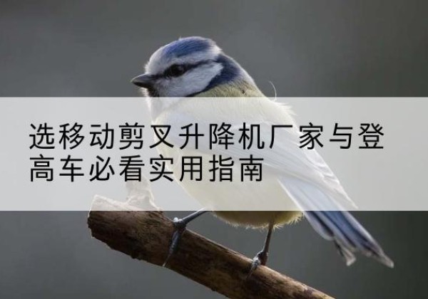 港北电动升降机厂家-选移动剪叉升降机厂家与登高车必看实用指南