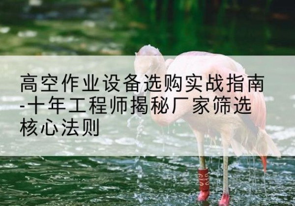 港北剪叉式升降机厂家-高空作业设备选购实战指南-十年工程师揭秘厂家筛选核心法则
